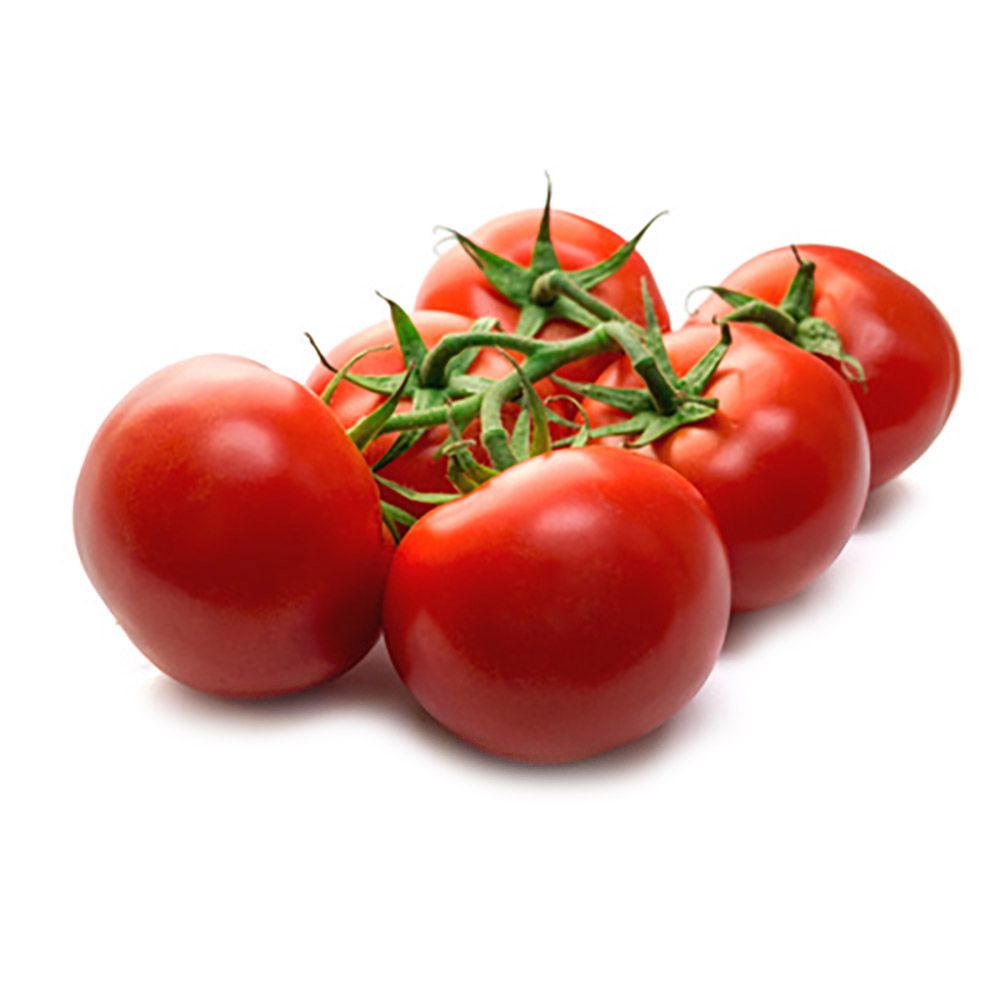 Strauchtomaten Regio von Manss Frischeservice