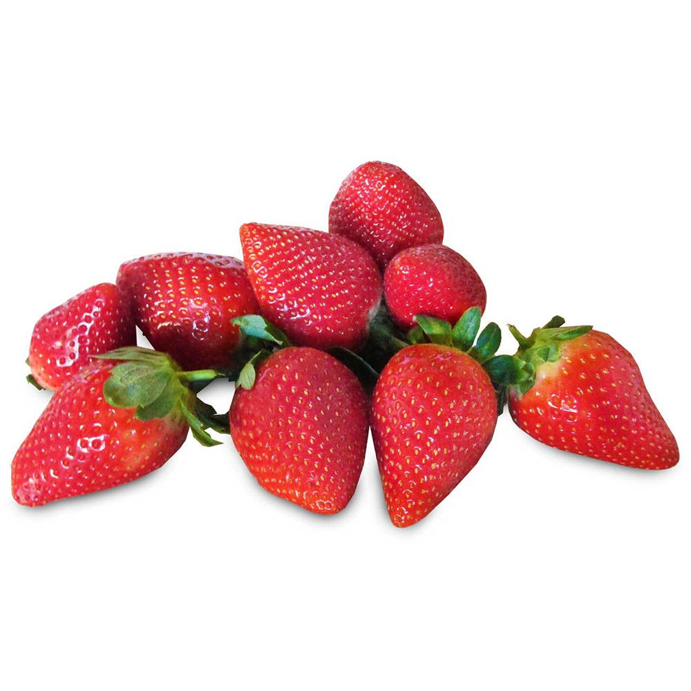 Erdbeeren sweet and sunny von Manss Frischeservice