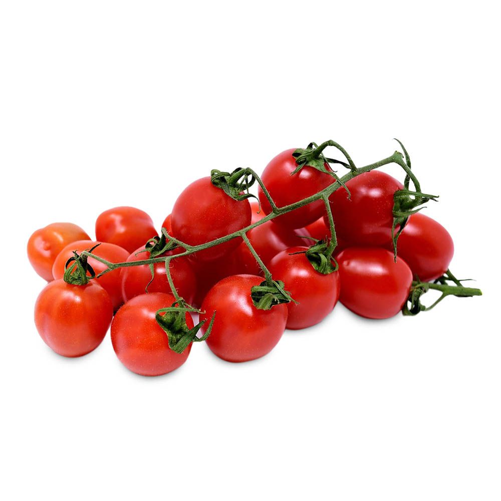 Tomaten Cherrystrauchtomaten fein rot von Manss Frischeservice