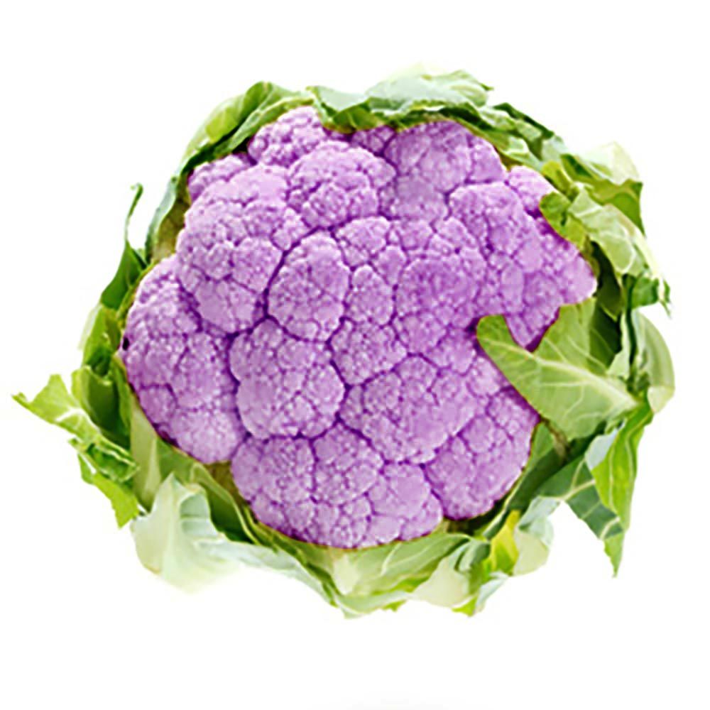 Blumenkohl violett von Manss Frischeservice