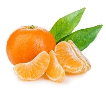 Clementinen klein + fein