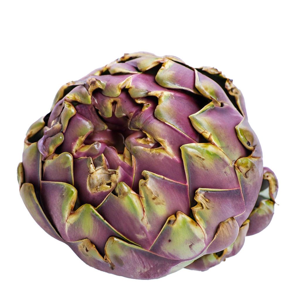 Mini Artichoke Lila von Manss Frischeservice