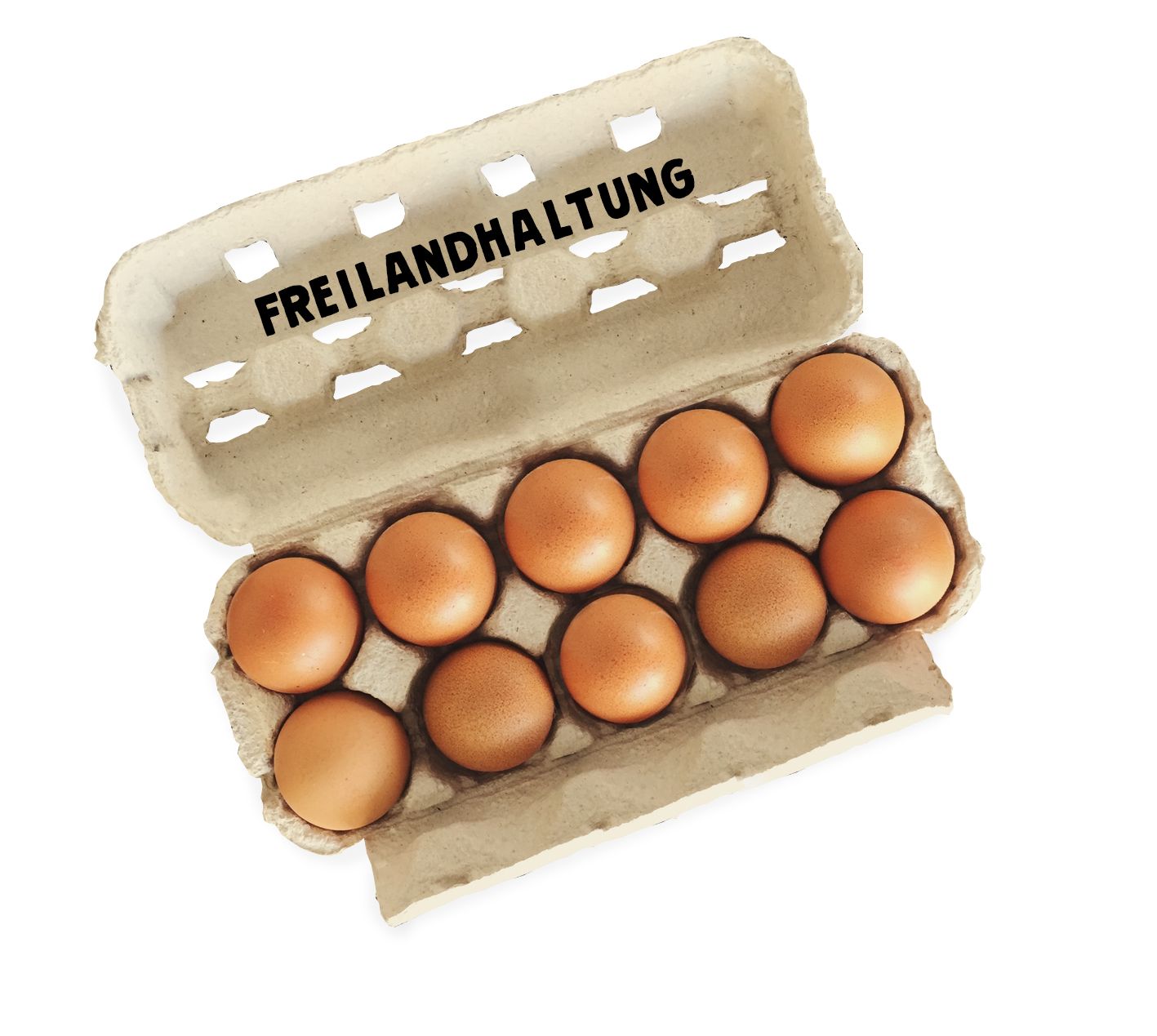 10er Eier aus Freilandhaltung