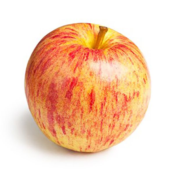 Apfel Gala von Manss Frischeservice