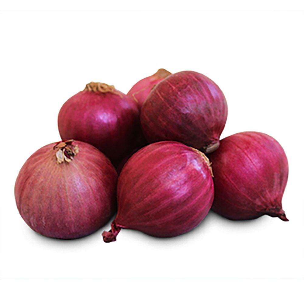 Rote Zwiebel von Manss Frischeservice